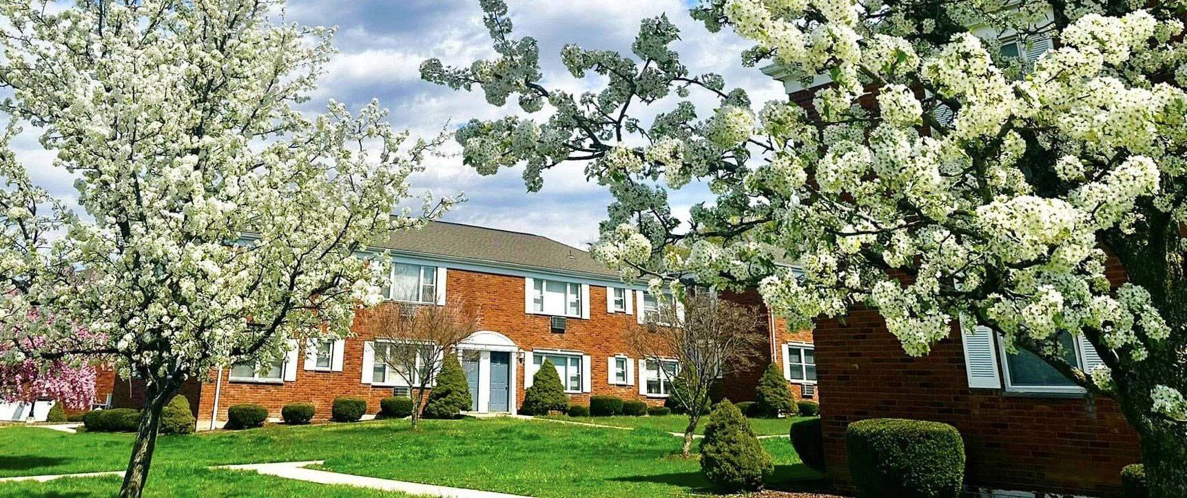 Apartment inspection at Hub Realty