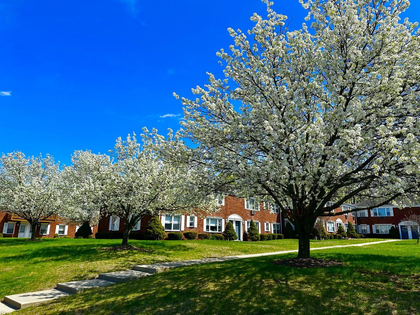 Ridgefield community grounds